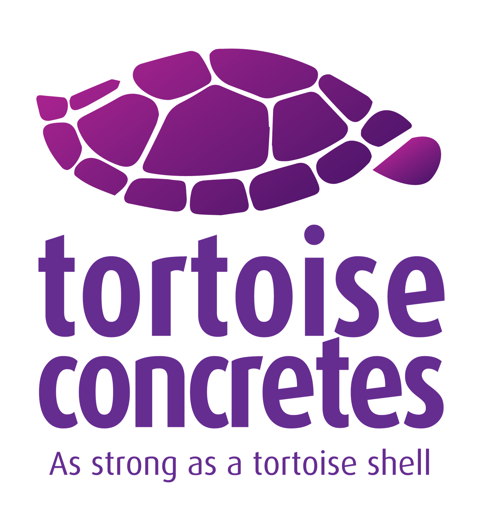 tortoise-concretes-home